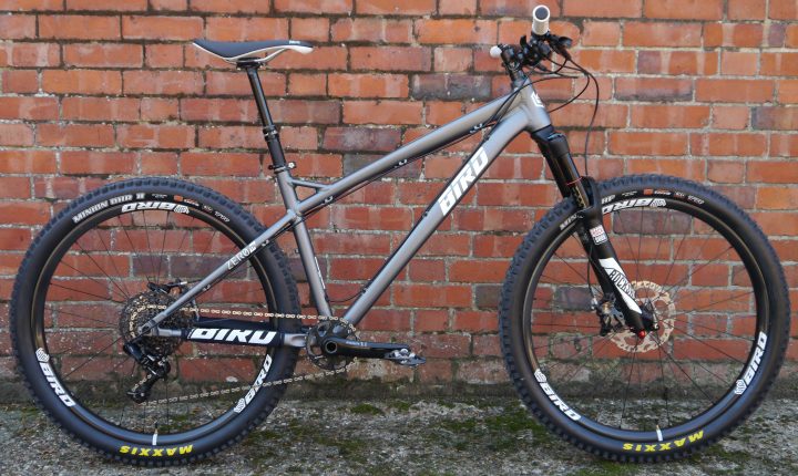 bird zero 29er